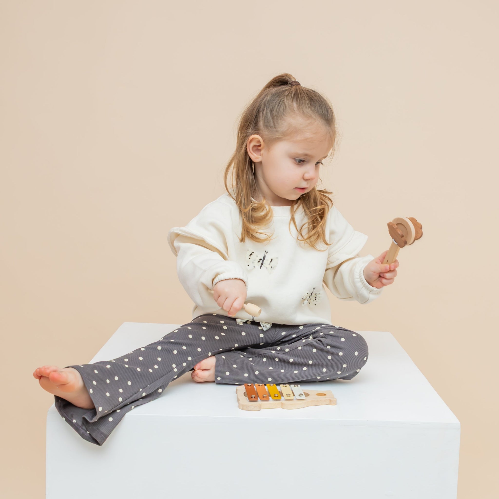 Musical Instrument Box